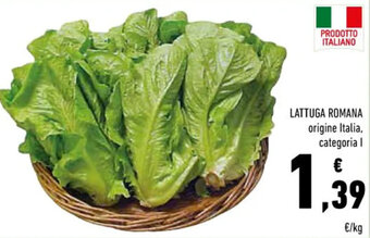 LATTUGA ROMANA