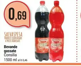 Supermercati Gulliver Consilia Ginger 1500 Ml offerta