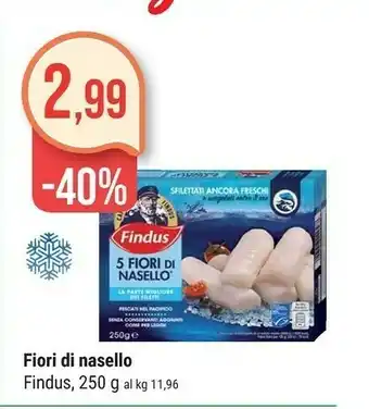 Supermercati Gulliver Findus 5 Fiori Di Nasello 250 G(ml) offerta