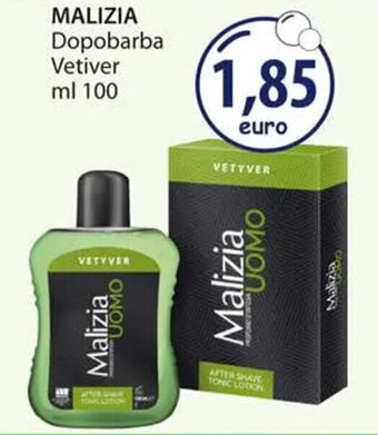 Acqua & Sapone MALIZIA Dopobarba Vetiver ml 100 offerta