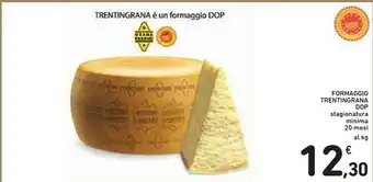 Conad Trentingrana Formaggio Dop offerta