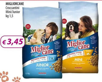 MIGLIORCANE Croccantini Mini/Junior kg 1,5