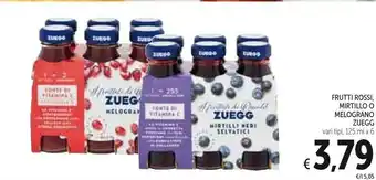 Conad Zuegg Frutti Rossi offerta