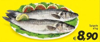 Iper Super Conveniente Spigole al kg offerta