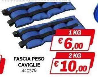 Orizzonte FASCIA PESO CAVIGLIE 449378 1 KG offerta