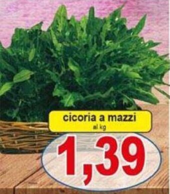 Pewex cicoria a mazzi offerta