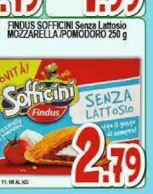 Gros Findus Sofficini Mozzarella offerta