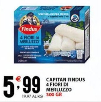 Sisa CAPITAN FINDUS 4 FIORI DI MERLUZZO 300 gr offerta