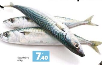 Eurospar Sgombro offerta