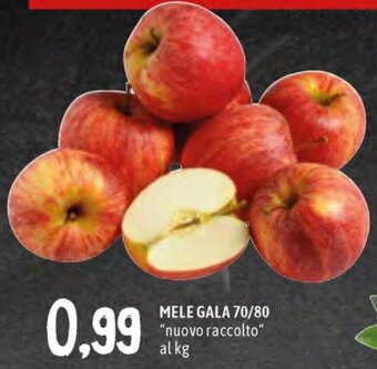Famila Superstore Mele Gala 70/80 offerta