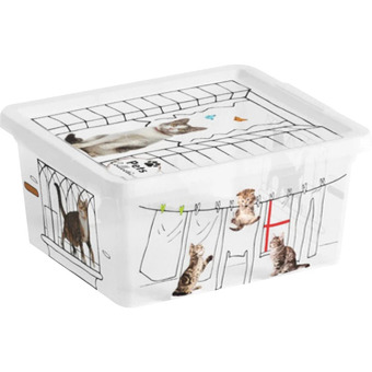 Brico Io Contenitore offerta