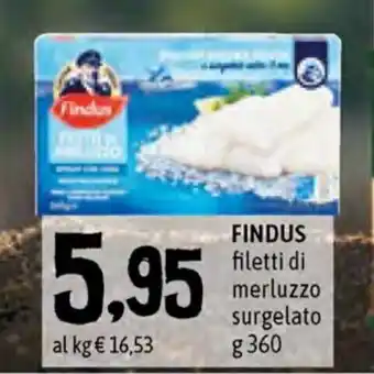 Famila Superstore Findus Filetti di Merluzzo 360g offerta