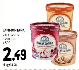 Famila Superstore Sammontana Barattolino 500g offerta