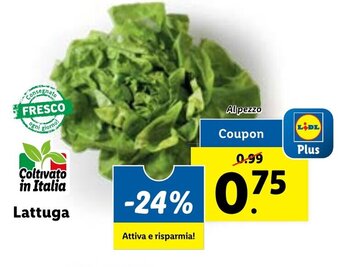 Lidl Lattuga offerta