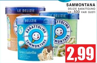 La Mimosa Supermercati SAMMONTANA DELIZIE BARATTOLINO GR. 500 VARI GUSTI offerta