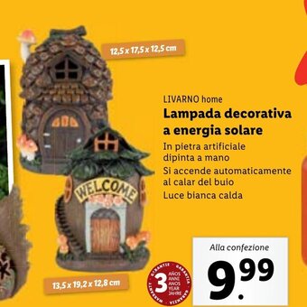 Lidl LIVARNO home Lampada decorativa a energia solare offerta