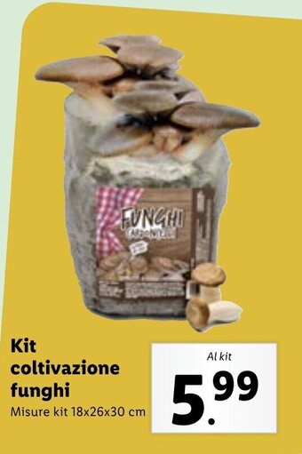 Lidl Kit coltivazione funghi 18x26x30 cm offerta