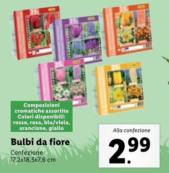 Lidl Bulbi da fiore 17,2x18,5x7,6 cm offerta