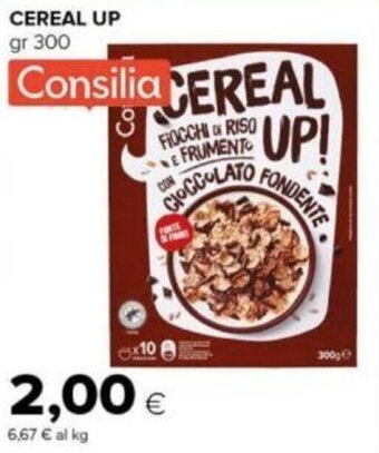 Tigre CEREAL UP gr 300 offerta