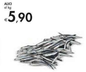 Bennet ALICI offerta