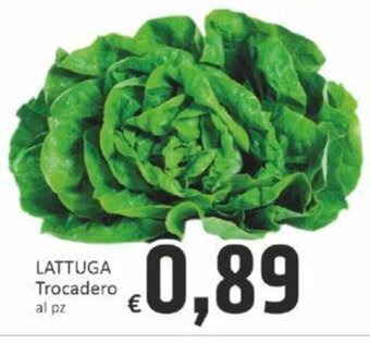 Paghi Poco LATTUGA Trocadero offerta
