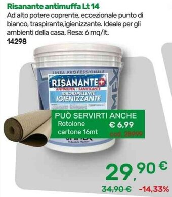 Risanante antimuffa Lt 14
