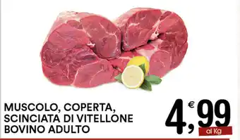 Gecop Muscolo,Coperta, Scinciata di Vitellone Bovino Adulto offerta