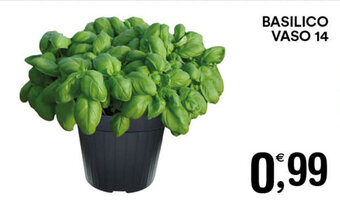 Gecop Basilico Vaso 14 offerta