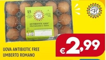 Il Centesimo UOVA ANTIBIOTIC FREE UMBERTO ROMANO 15 UOVA offerta
