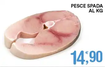 Gecop Pesce Spada offerta