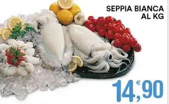 Gecop Seppia Bianca offerta