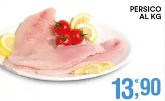 Gecop Persico offerta