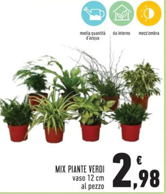 MIX PIANTE VERDI vaso 12 cm
