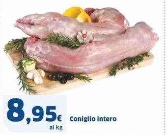 Sigma Coniglio intero offerta