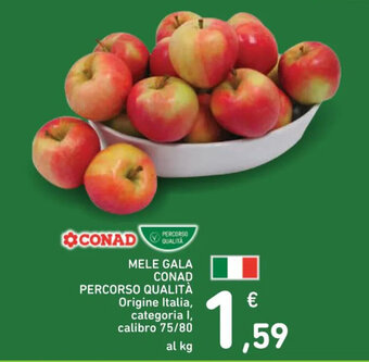Spazio Conad MELE GALA CONAD PERCORSO QUALITÀ offerta