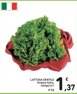Spazio Conad Lattuga gentile offerta