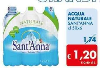 ACQUA NATURALE SANT'ANNA cl 50x6