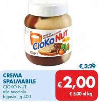 CREMA SPALMABILE CIOKO NUT alle nocciole bigusto - g 400