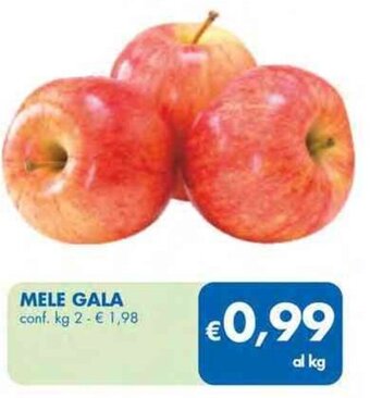 MELE GALA conf. kg 2