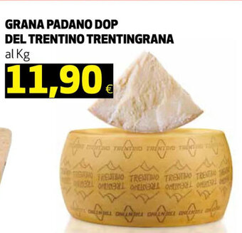 Coop GRANA PADANO DOP DEL TRENTINO TRENTINGRANA al Kg offerta
