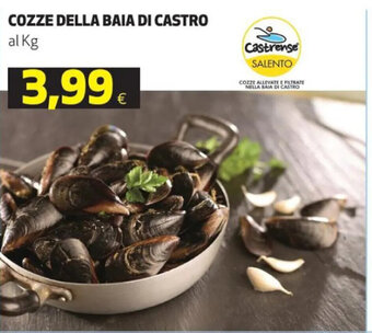 Ipercoop COZZE DELLA BAIA DI CASTRO offerta