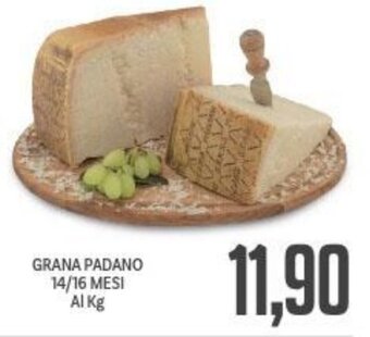 GRANA PADANO 14/16 MESI