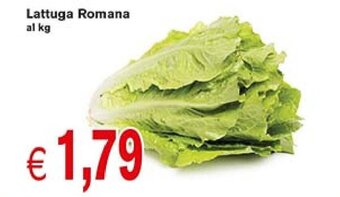 Lattuga Romana