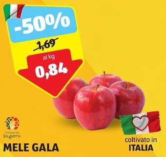 ALDI MELE GALA offerta