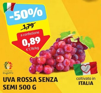 ALDI UVA ROSSA SENZA SEMI 500 G offerta