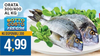 Gecop ORATA 300/400 offerta