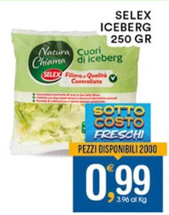 Gecop SELEX ICEBERG 250 GR offerta
