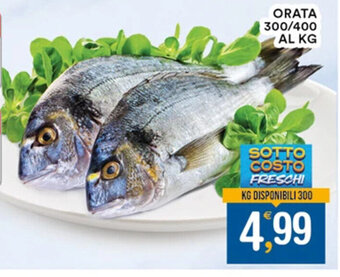 ORATA 300/400 AL KG