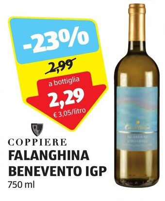 ALDI COPPIERE FALANGHINA BENEVENTO IGP 750 ml offerta