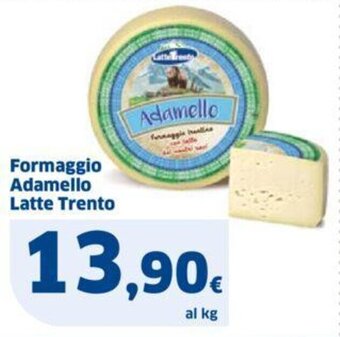 Sigma Formaggio Adamello Latte Trento offerta